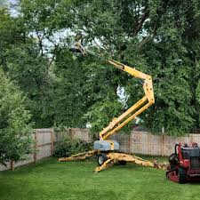 Best Palm Tree Trimming  in La Grange, TX